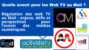 Article : La r&eacute;gulation tardive des web TV au Mali